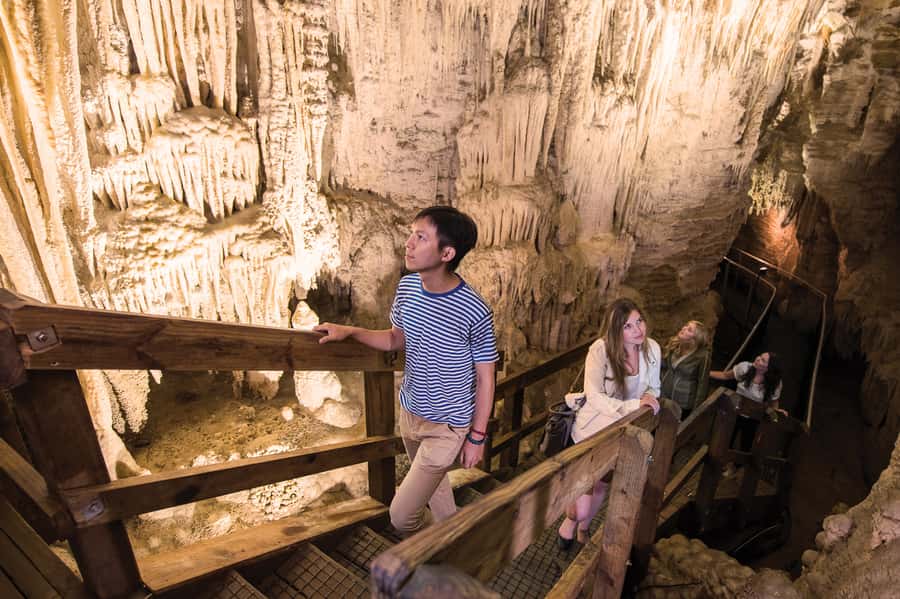 Aranui Cave 1-Hour Guided Tour - Starting at Waitomo Village Road