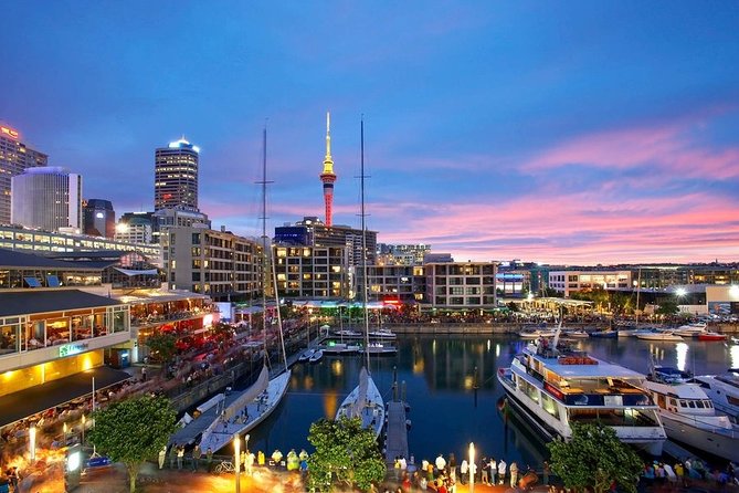 Arrival Private Transfer from Auckland Airport AKL to Auckland in Luxury Van - Safety procedures and passenger comfort