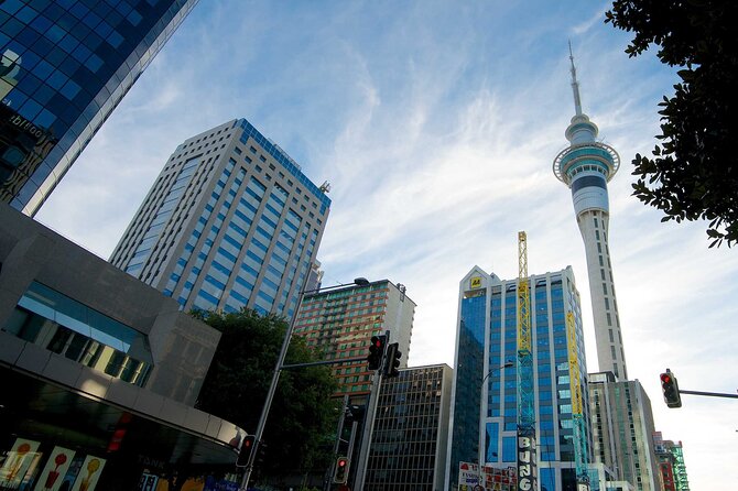 Arrival Private Transfer from Auckland Airport AKL to Auckland in Luxury Van - Why the 60-minute airport wait matters