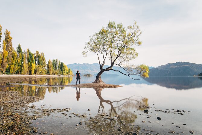 Arrowtown and Wanaka Highlights Tour from Queenstown - Key points to know before booking