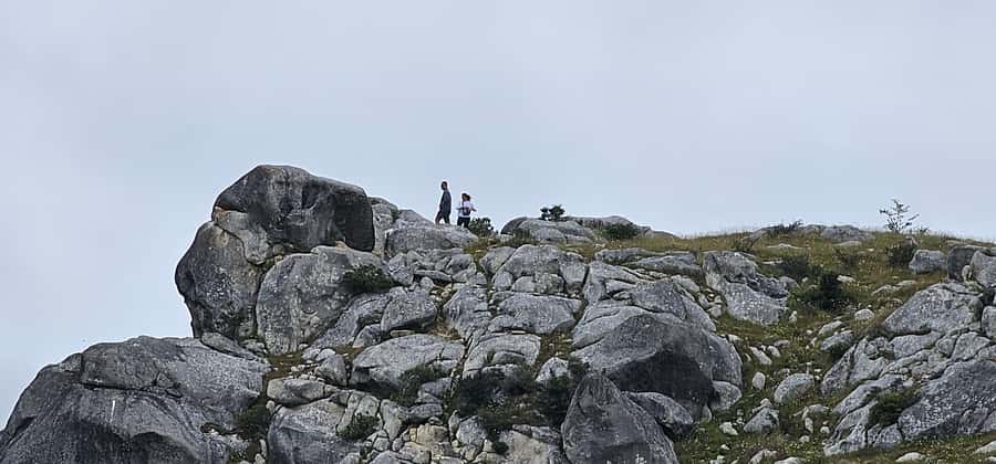Arthur’s Pass Alpine Explorer Day Tour from Christchurch - Why this day trip works from Christchurch