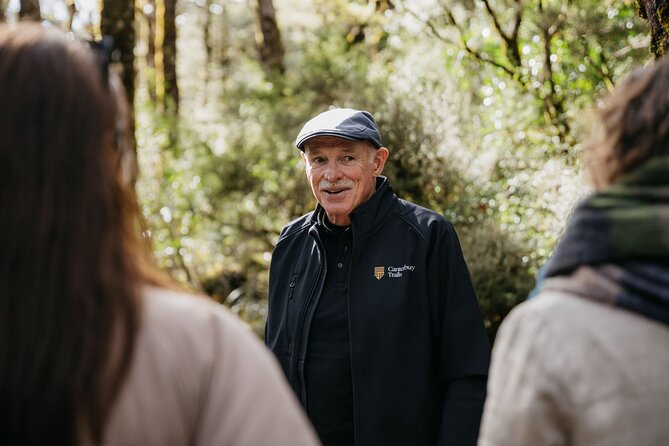 Arthur's Pass Discovery and TranzAlpine Train - Small Group Tour - Starting in Christchurch and boarding the TranzAlpine