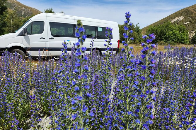 Arthur’s Pass Tour From Christchurch With Jet Boat & TranzAlpine - Springfield starts the day with a jet boat ride