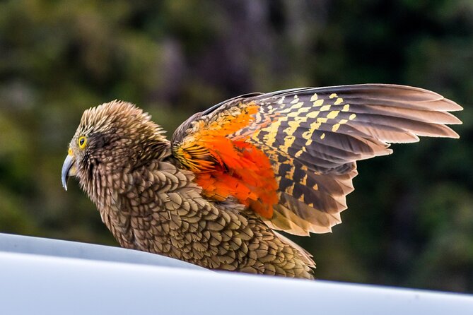 Arthur’s Pass Tour From Christchurch With Jet Boat & TranzAlpine - Lake Pearson offers a quiet contrast