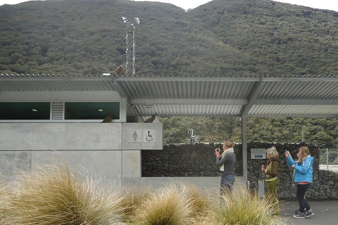 Arthurs Pass and Southern Alps Day Excursion from Port Lyttelton or Christchurch - The pass itself and the story of the route west