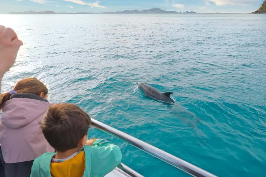 Auckland: 2-Day Bay of Islands Small Group Tour with Cruise - Overnight in Paihia