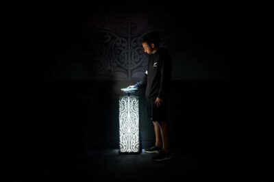 All Blacks Experience Guided Cultural Tour