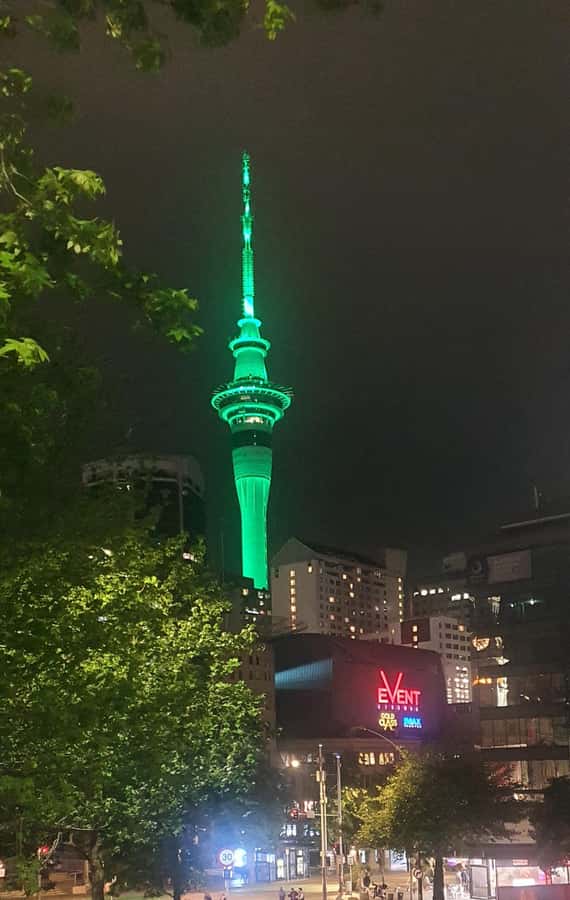 Auckland: Auckland City Tour 4 hours private - Why four hours works well in Auckland