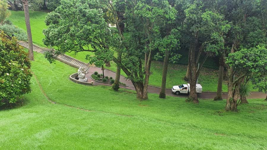 Auckland: Auckland City Tour 4 hours private - Auckland Domain adds gardens and culture