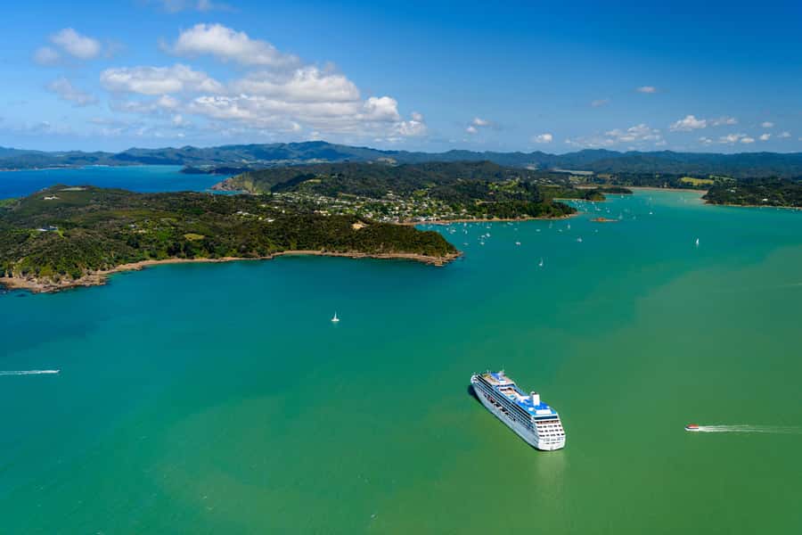 Auckland: Bay of Islands Day Tour with Dolphin Cruise - The best parts of the day at a glance