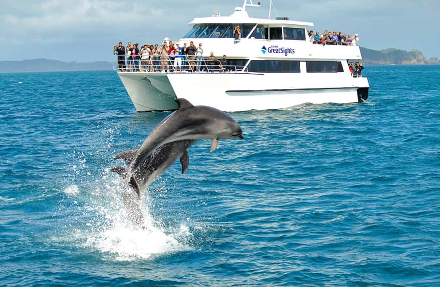 Auckland: Bay of Islands Day Tour with Dolphin Cruise - How much value do you get for $283?