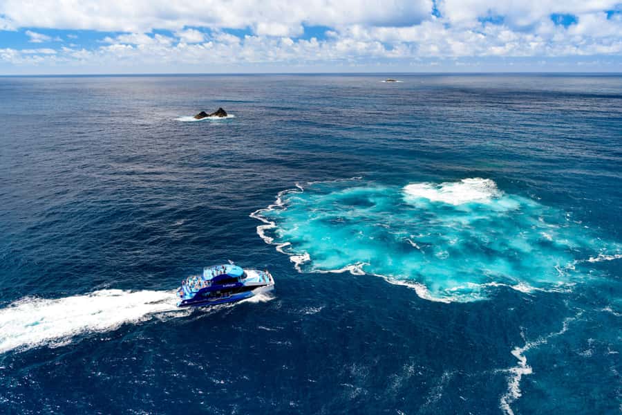 Auckland: Bay of Islands Day Tour with Dolphin Cruise - Booking flexibility and practical details