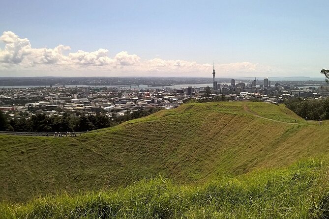 Auckland Best Top 5 Spots Half day Tour - Five useful things to know before booking