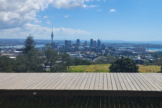 Auckland Best Top 5 Spots Half day Tour - Why this tour works for a short Auckland visit