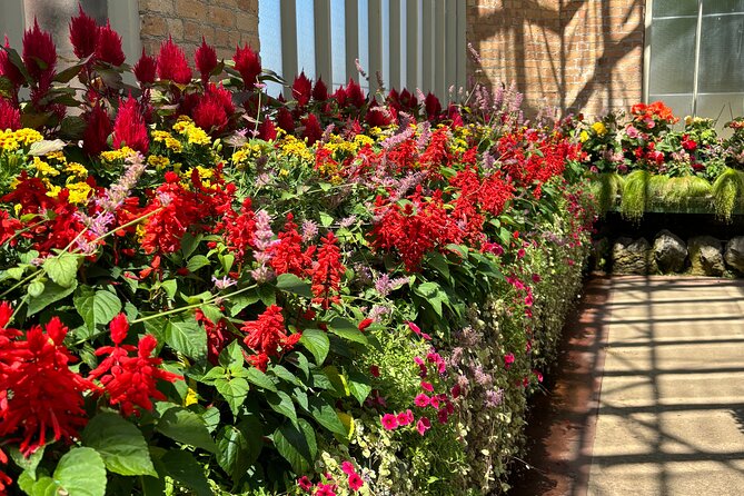 Auckland Best Top 5 Spots Half day Tour - Auckland Domain’s two very different Wintergardens
