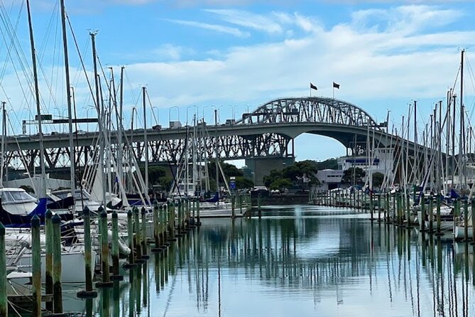 Auckland Best Top 5 Spots Half day Tour - What the private vehicle and guide add