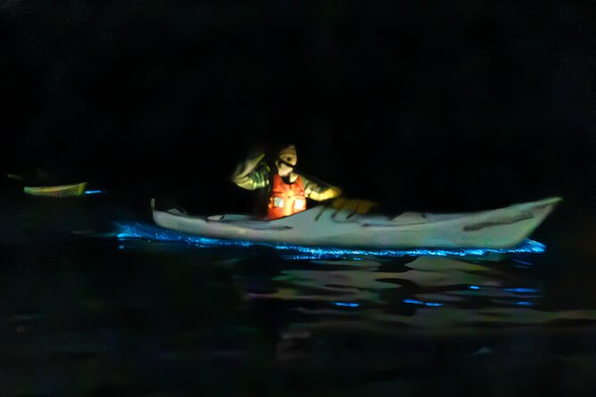 Auckland Bioluminescence Kayak Tour - Key points to know before booking