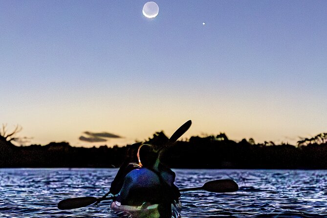 Auckland Bioluminescence Kayak Tour - Auckland’s blue glow after dark