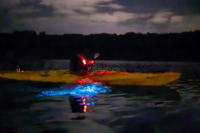 Auckland Bioluminescence Kayak Tour - Finding the sea sparkle