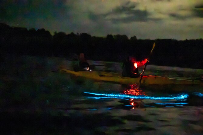 Auckland Bioluminescence Kayak Tour - Transport, timing, and the $68.26 price