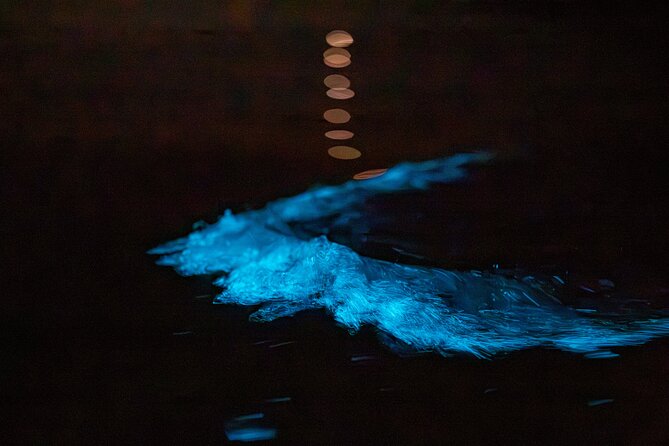 Auckland Bioluminescence Kayak Tour - Who will enjoy this most