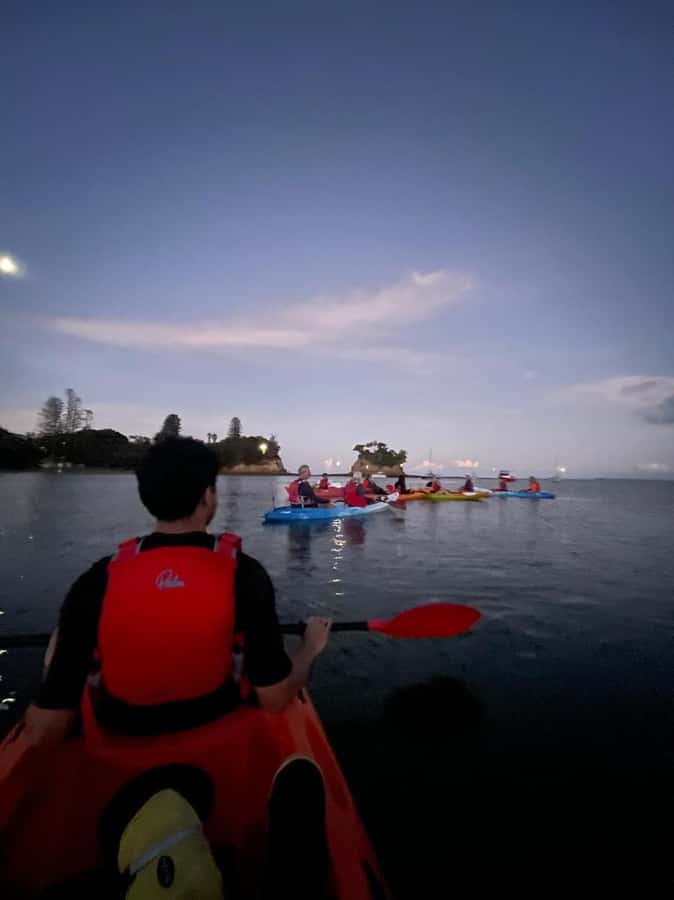 Auckland: Bioluminescence Kayak Tour with Guide - Paddling out as the sky darkens