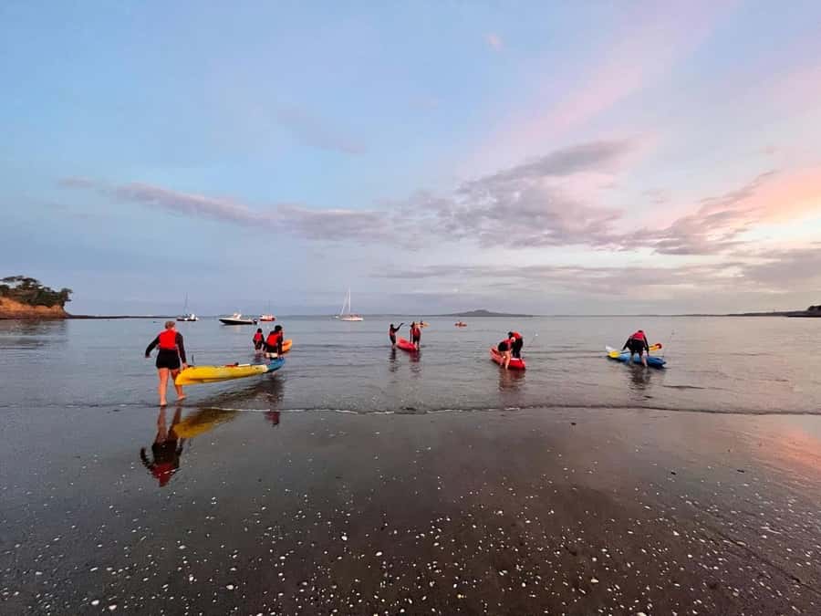 Auckland: Bioluminescence Kayak Tour with Guide - Finding the plankton in the dark