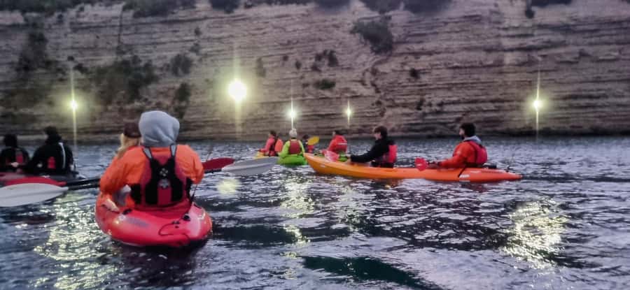 Auckland: Bioluminescence Kayak Tour with Guide - Who will enjoy this tour most?