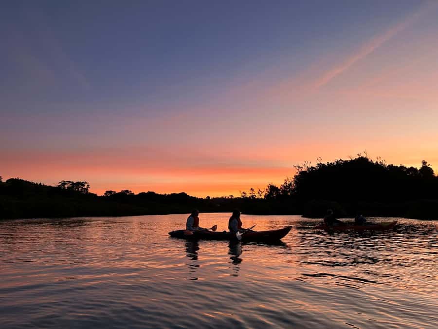 Auckland: Bioluminescence Kayak Tour with Guide - Reaching the North Auckland launch point