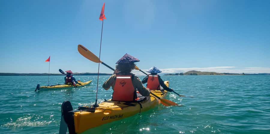 Auckland: Browns Island (Motukorea) Sea Kayak Tour - Paddling past Gentlemans Bay and Ladies Bay