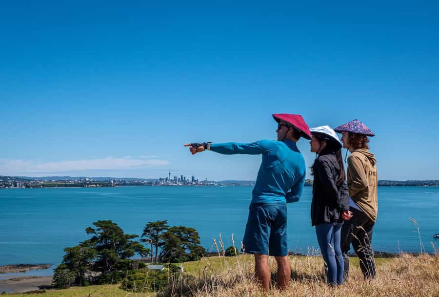 Auckland: Browns Island (Motukorea) Sea Kayak Tour - Views that make the trip special