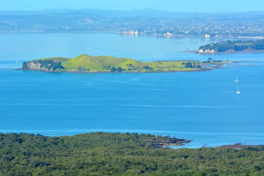 Auckland: Browns Island (Motukorea) Sea Kayak Tour - The guide matters more than the equipment