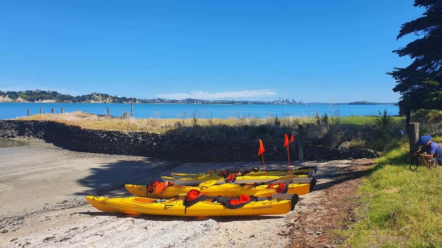 Auckland: Browns Island (Motukorea) Sea Kayak Tour - Is $89 good value?
