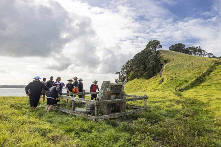 Auckland: Browns Island (Motukorea) Sea Kayak Tour - Who should book this half-day adventure?