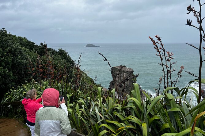 Auckland City and West Coast Black Sand Beach Full Day Tour - What this eight-hour Auckland day looks like