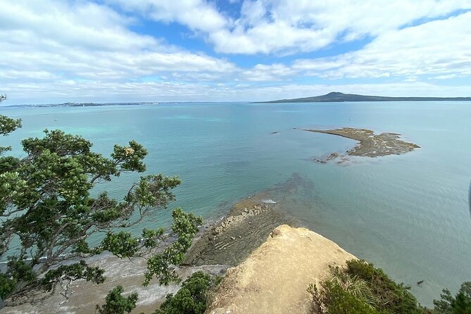 Auckland City and West Coast Full Day Tour - Westhaven and Auckland’s harbor life