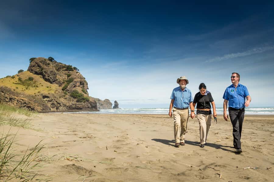 Auckland City and West Coast Luxury Tour - Why This Tour Works for Auckland First-Timers