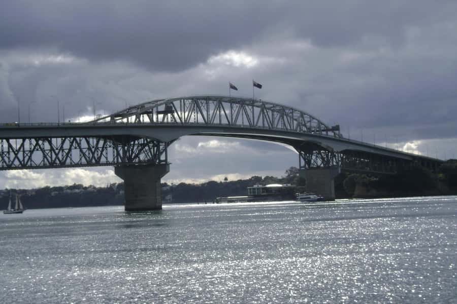 Auckland City, Beaches & Rainforest Premium Small Group Tour - Why this Auckland day tour works