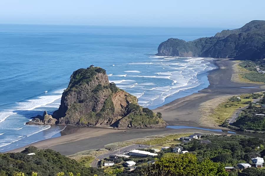 Auckland City, Beaches & Rainforest Premium Small Group Tour - Guides, vehicles, and the feel of the day