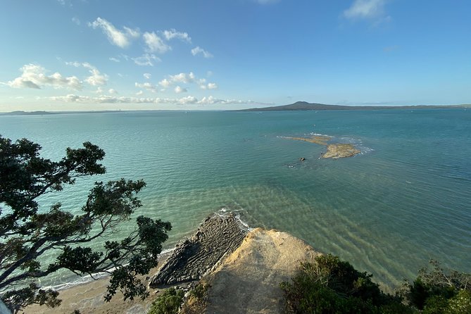 Auckland City Discovery Experience - Private Tour From Auckland - Why this private Auckland tour works well