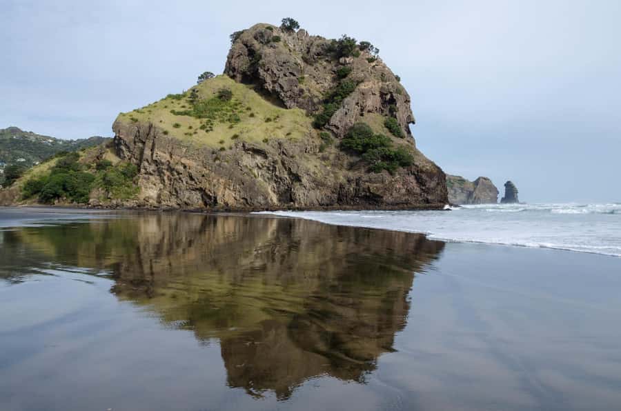 Auckland City Full Tour -PRIVATE TOUR - Why this Auckland route works well