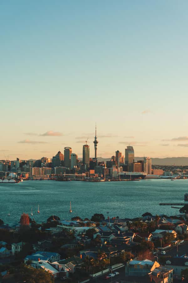 Auckland City Full Tour -PRIVATE TOUR - Mount Eden and the city from a volcanic summit