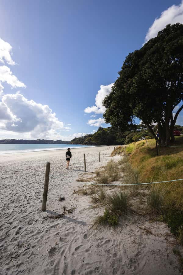 Auckland City Full Tour -PRIVATE TOUR - Mission Bay, Rangitoto views, and a slower hour