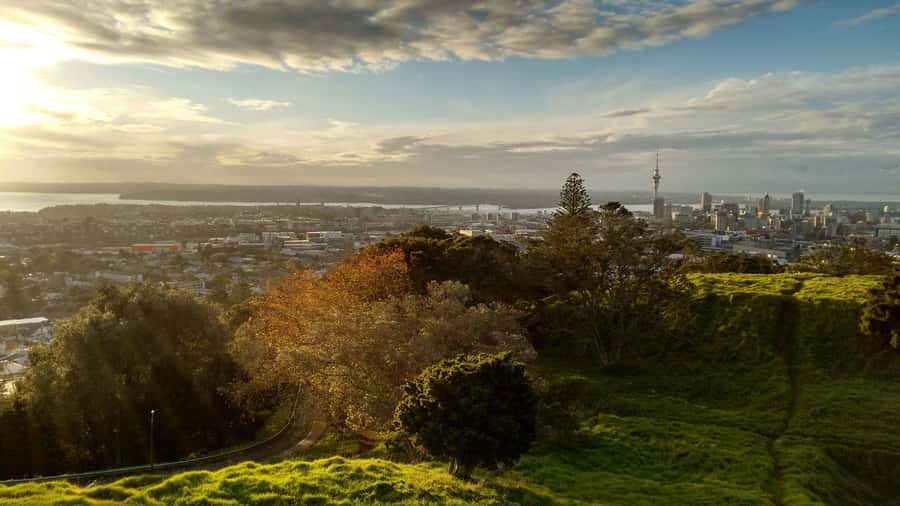 Auckland City Full Tour -PRIVATE TOUR - Arataki Visitor Centre and the Waitakere setting