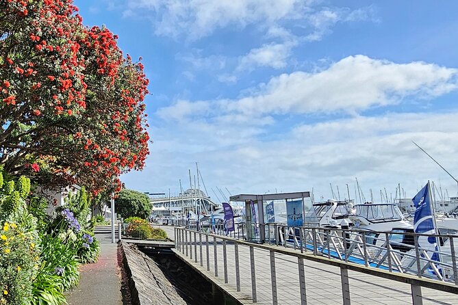 Auckland City Halfday Guide Tour - Why this half-day tour works for a first look
