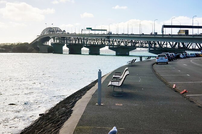 Auckland City Halfday Guide Tour - Parnell Rose Gardens and Nancy Steen Gardens