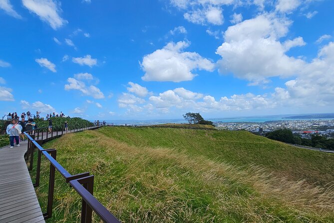 Auckland City Halfday Guide Tour - Price, vehicle, and practical value