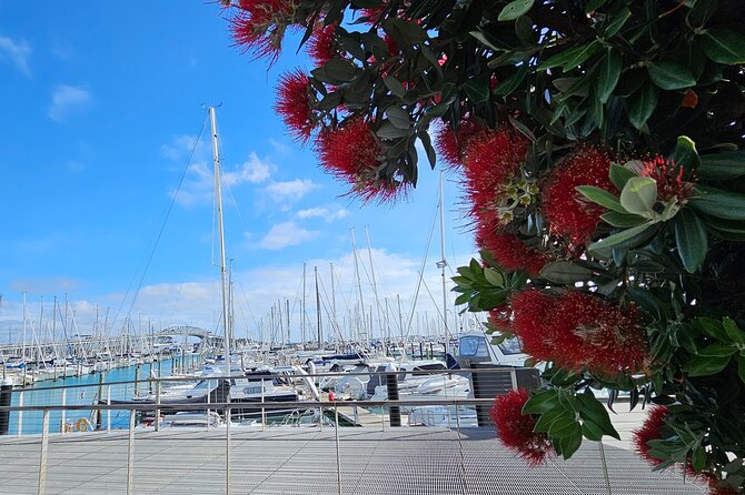 Auckland City Halfday Private Tour - Why this short Auckland route works