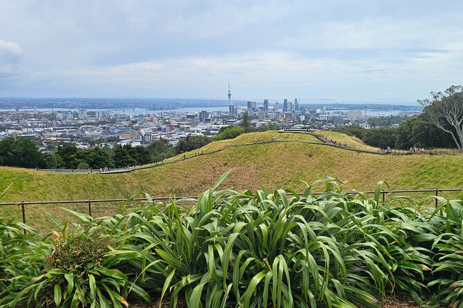 Auckland City Halfday Private Tour - Auckland Domain Wintergarden: a calm change of pace