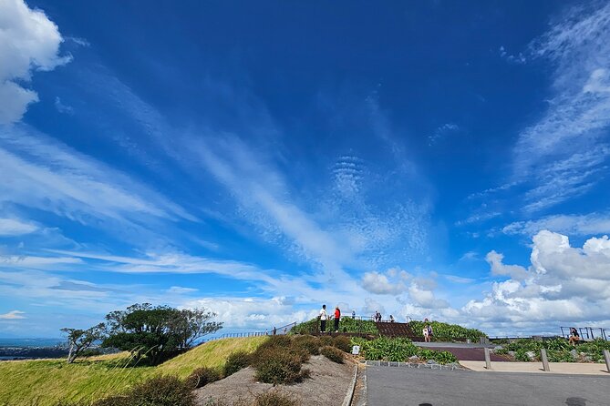 Auckland City Halfday Private Tour - A private vehicle and guide can change the day